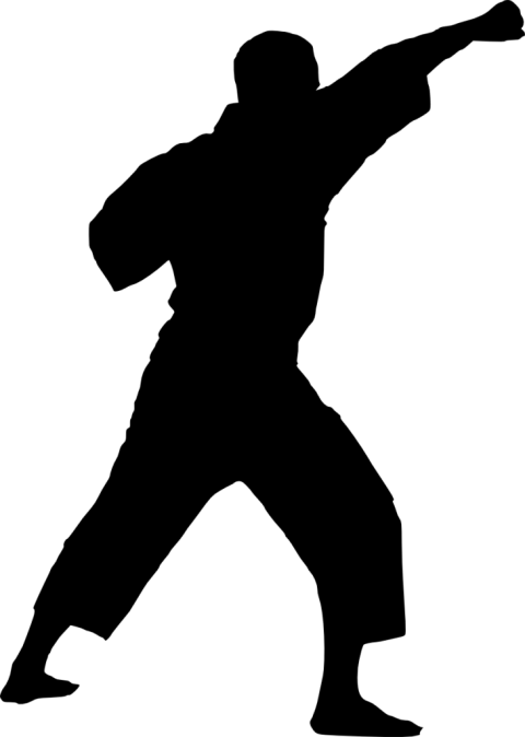 Karate Silhouette Transparent Clipart (480x674), Png Download