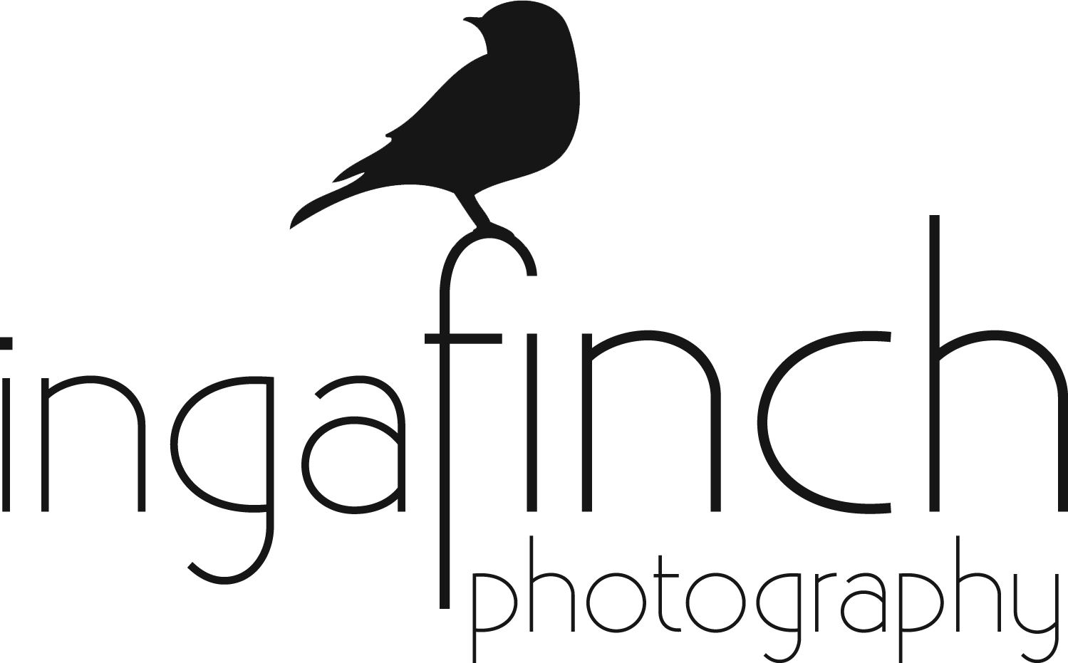 Atlanta & Tallahassee Wedding And Portrait Photographer - Fish Crow Clipart (1499x931), Png Download