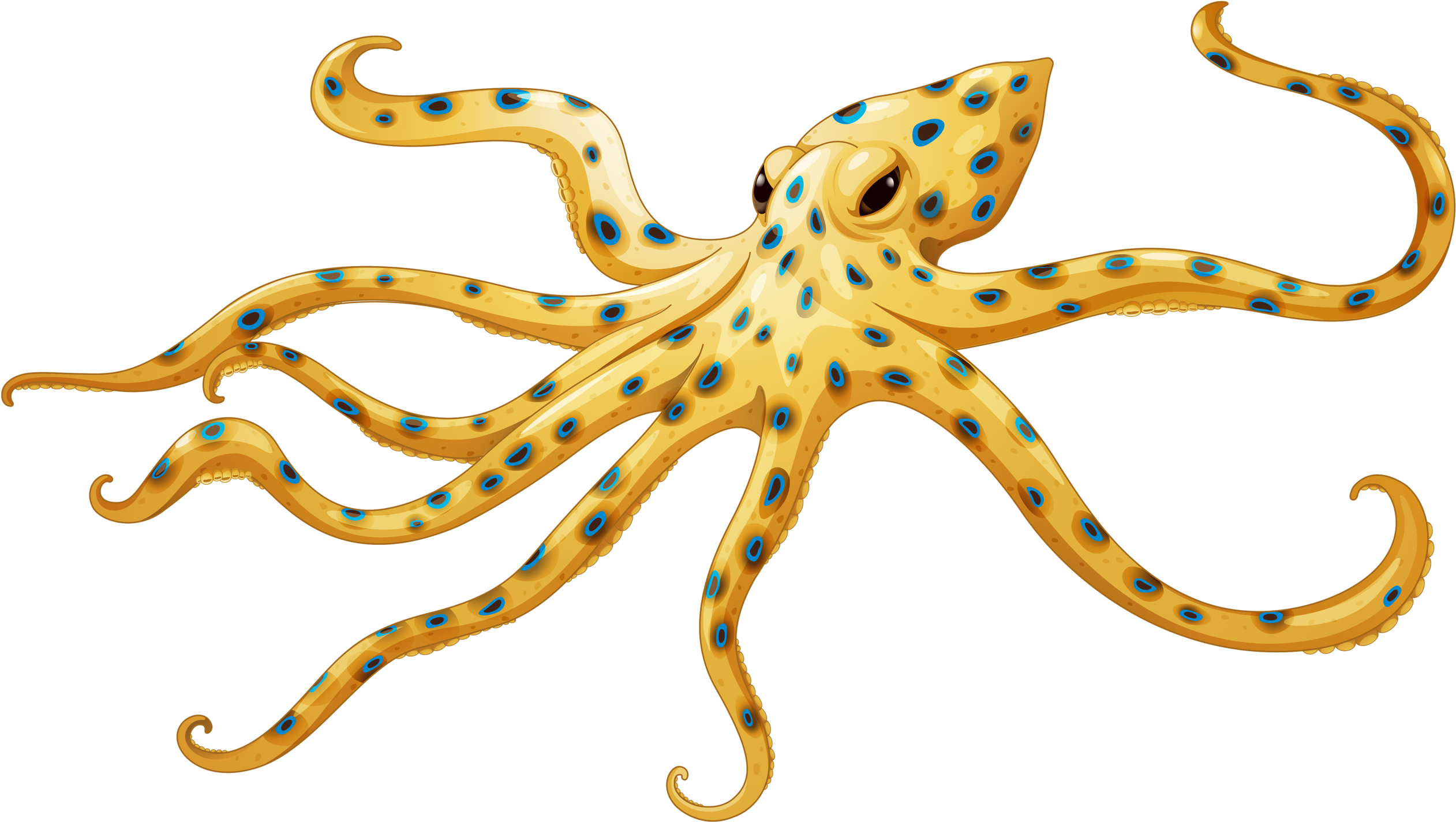 Фотки Søstjerne, Grøn, Google, Clip Art - Png Download (2560x1459), Png Download