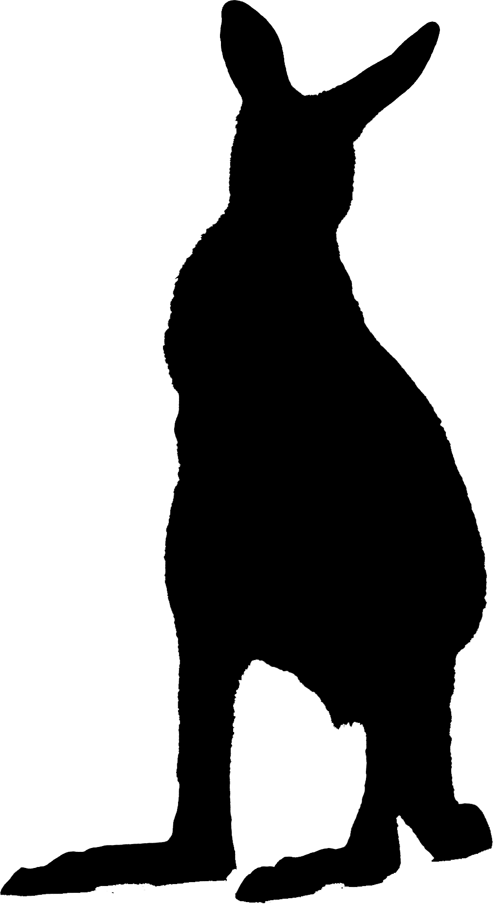 Dolphin Silhouette - Silhouette Clipart (1013x1856), Png Download