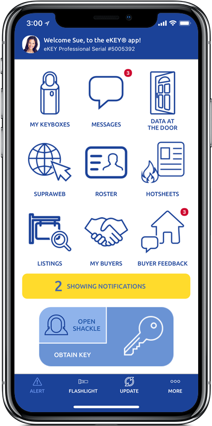 Meet Ekey - Supra Ekey Clipart (585x1024), Png Download