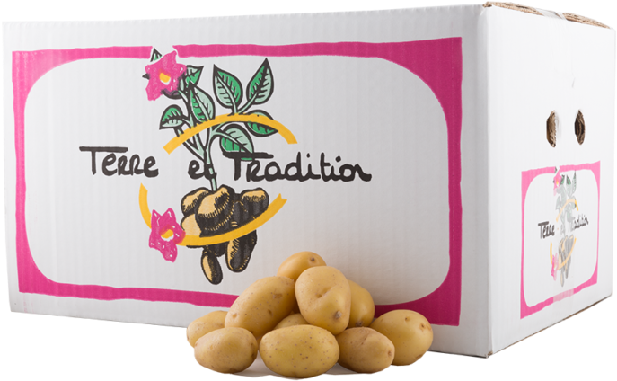 The Company Is Specialized In The Trading And Packaging - Olive Clipart (1024x683), Png Download