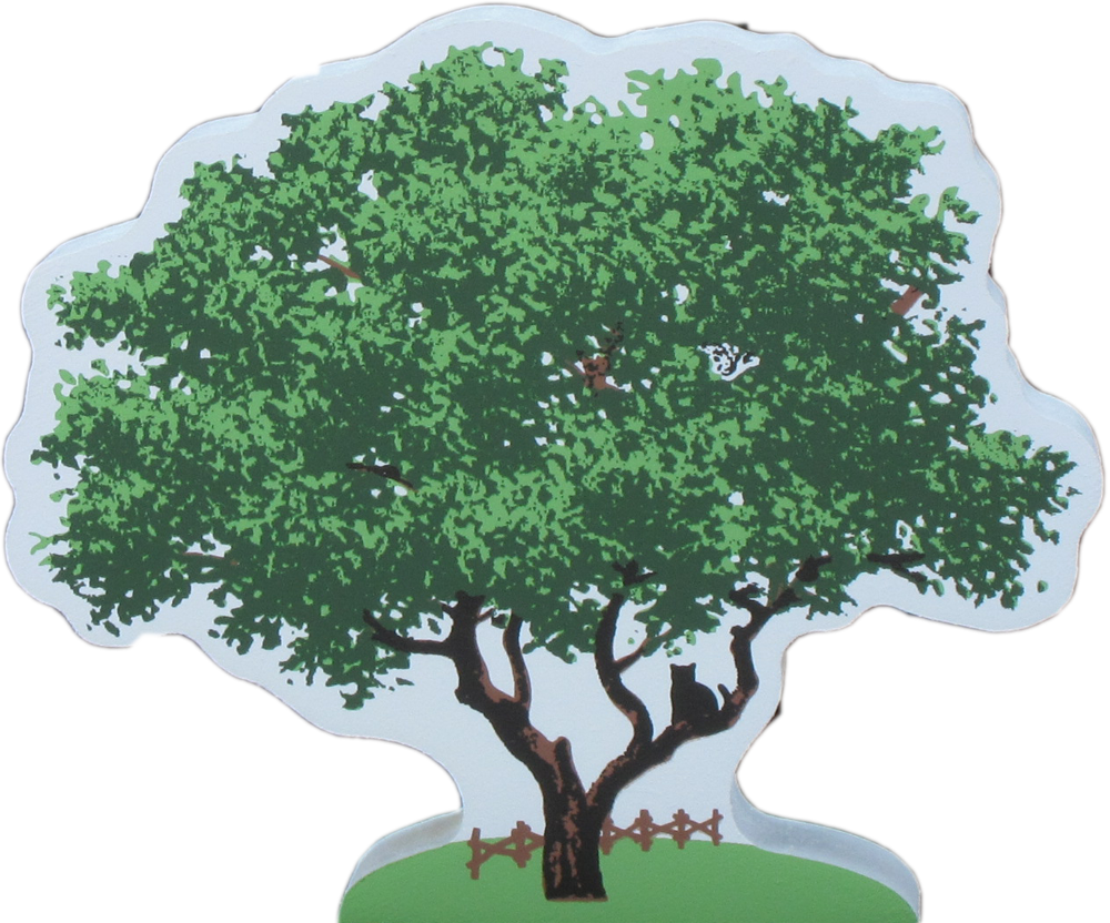 Live Oak Tree Clipart (1000x832), Png Download