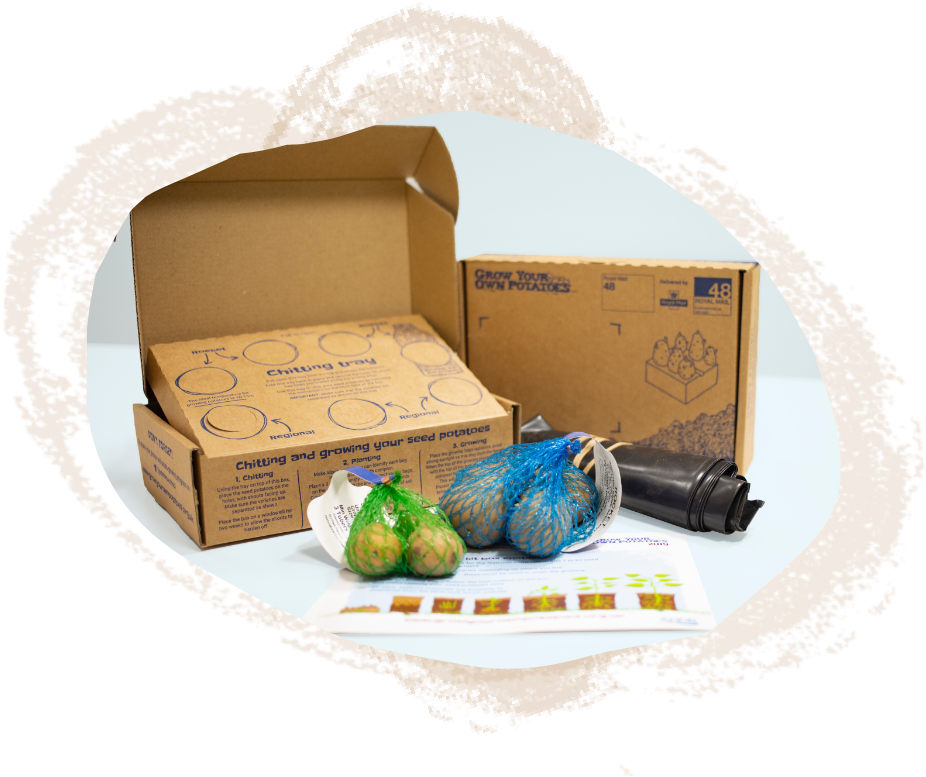 Get Your Pack - Bed Frame Clipart (1071x951), Png Download