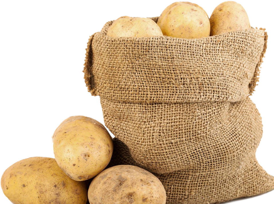 100% New Zealand Clipart (1600x792), Png Download