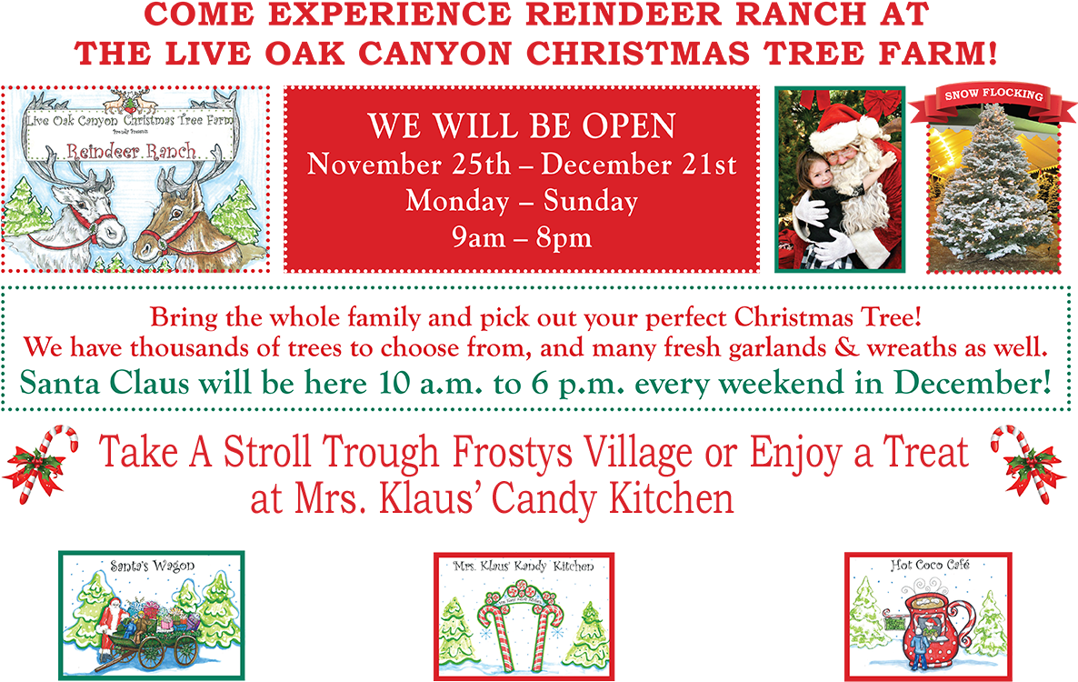 Christmas Loc Website - Live Oak Canyon Frosty Village Clipart (1200x800), Png Download