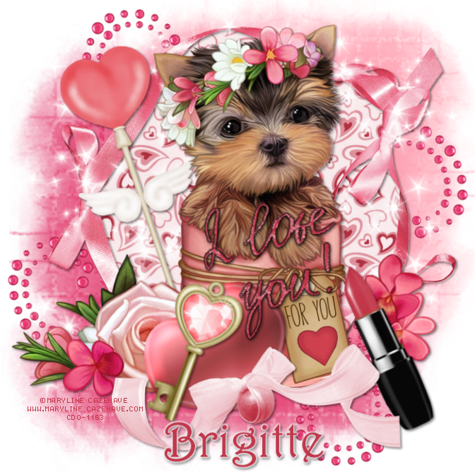 Yorkshire Terrier Clipart (672x672), Png Download