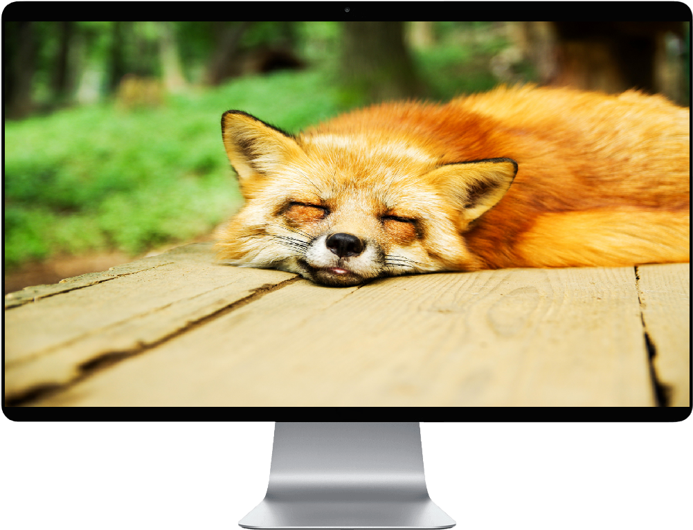 Fox Sleep Clipart (1000x1000), Png Download