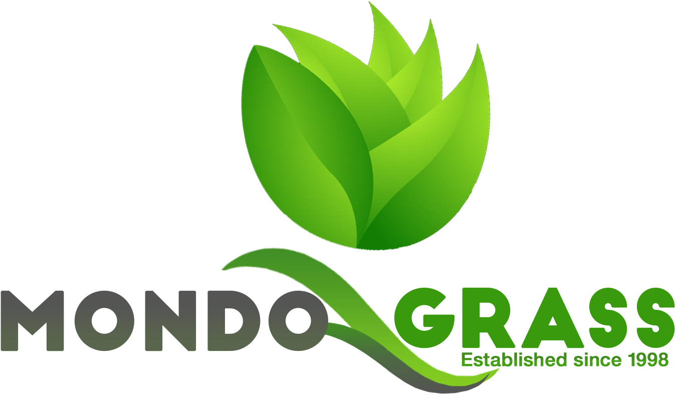 Esthablished Since - Graphic Design Clipart (1400x805), Png Download