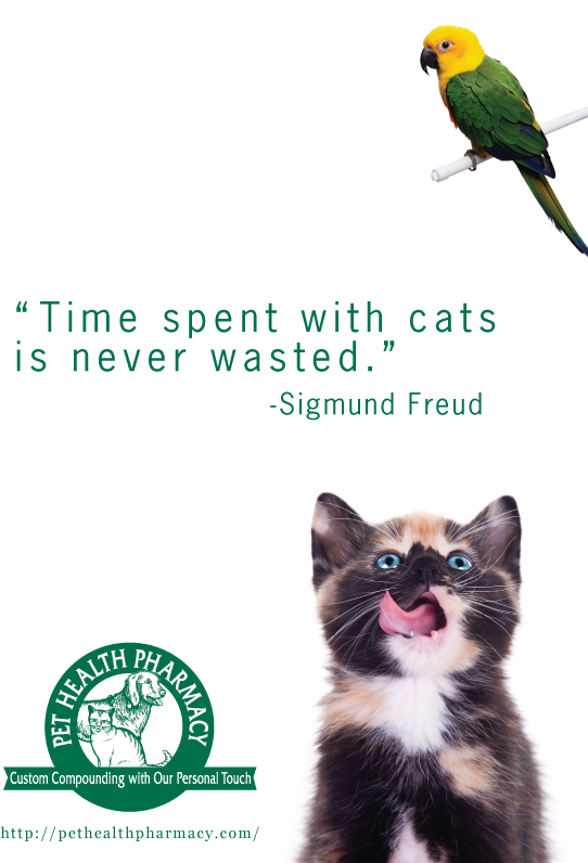 Sigmund Freud - Kitten Eating Pet Food Clipart (550x800), Png Download