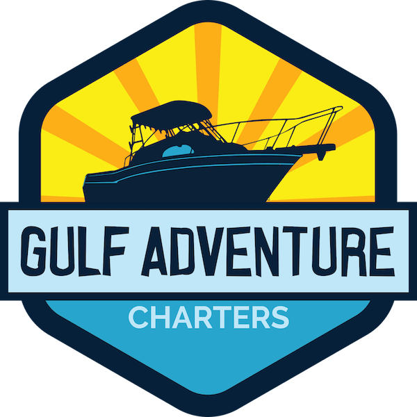 Book Online Now Clipart (600x600), Png Download