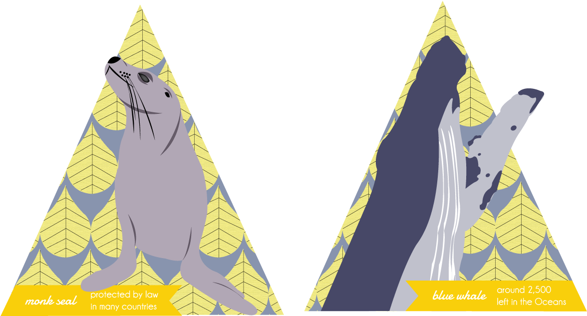 Revisions On Packaging Design - Graphic Design Clipart (1224x792), Png Download