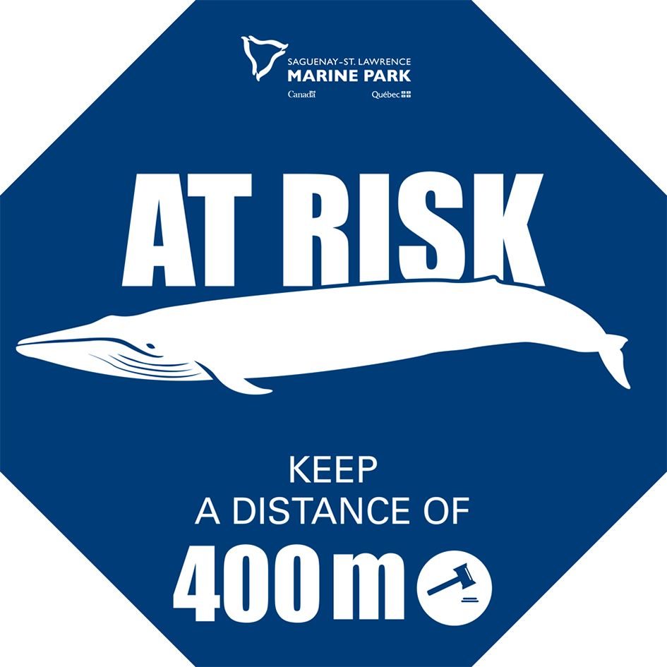 Whale At Risk Stop - Whales Clipart (945x945), Png Download