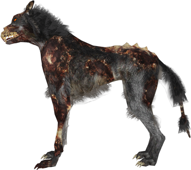 Photo Zombie Wolf Zpsaf323d7a - Companion Dog Clipart (640x569), Png Download