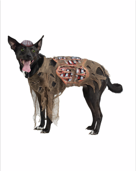 9 Zombie - Hellhound Costume For Dogs Clipart (1024x576), Png Download