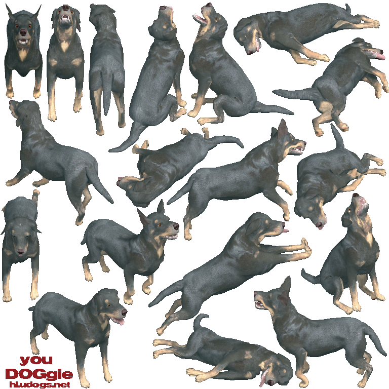 Ptudog - Dobermann Clipart (768x768), Png Download