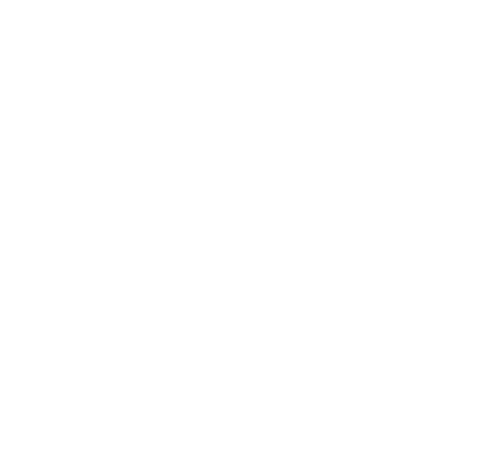 Pittsburgh Zoo Ppg - Pittsburgh Zoo Logo White Clipart (998x915), Png Download