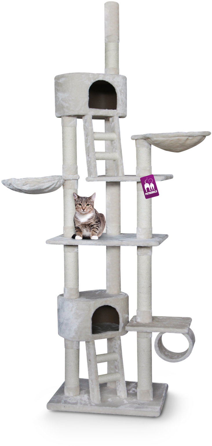 Krabpaal Cheap Bastards Miami 245 Clipart (1000x1586), Png Download