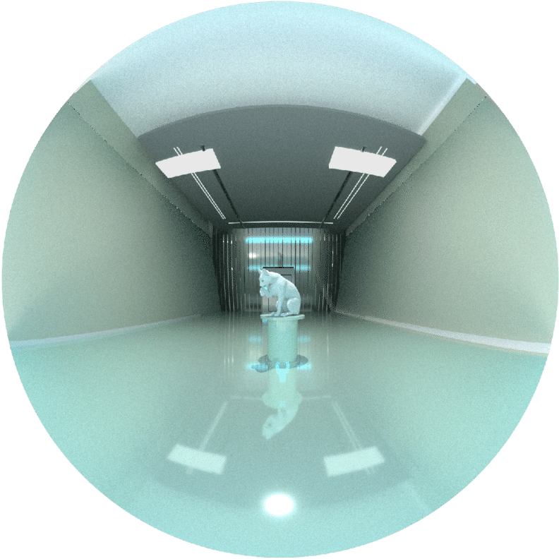 Circle Clipart (850x861), Png Download