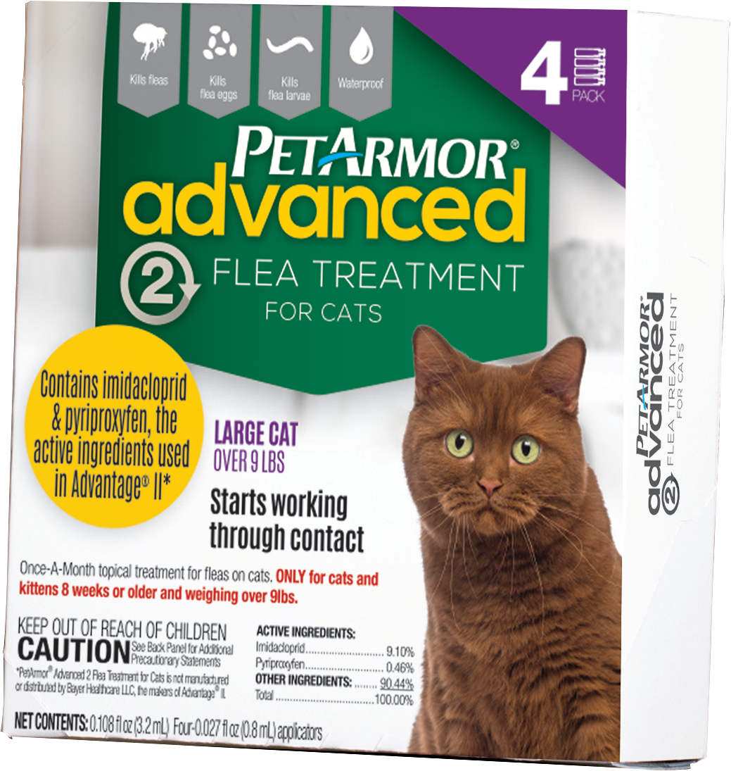 Pet Clipart (1193x1193), Png Download