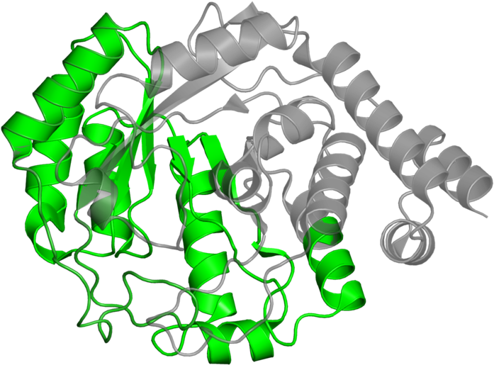 Illustration Clipart (800x800), Png Download