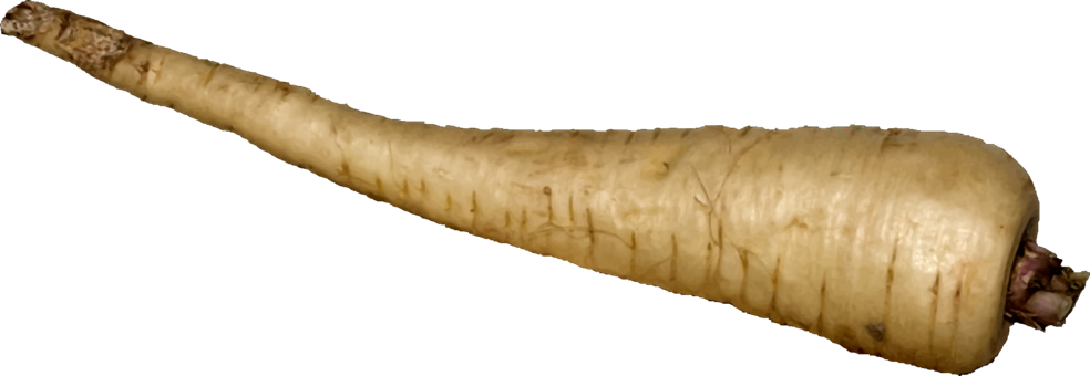 Download Similars - Parsnip Clipart - Png Download (984x340), Png Download