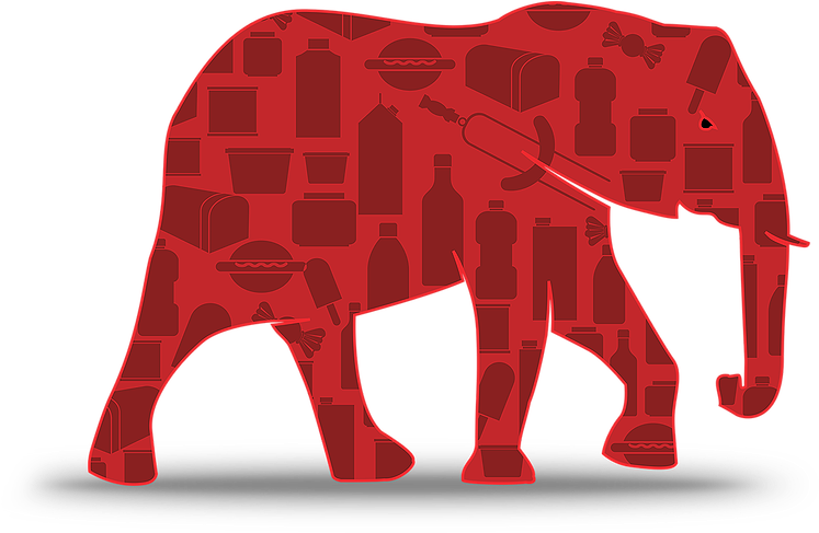 Indian Elephant Clipart (823x492), Png Download