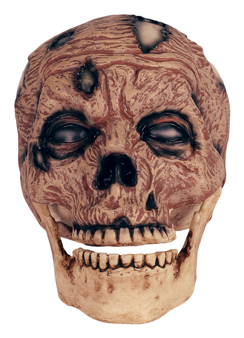 Zombie Head Png - Skull Clipart (650x748), Png Download