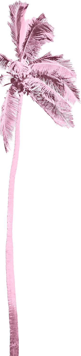 More Information About Dirty Dancing Tickets - Feather Clipart (338x1471), Png Download