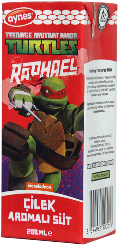 Teenage Mutant Ninja Turtles Clipart (800x800), Png Download