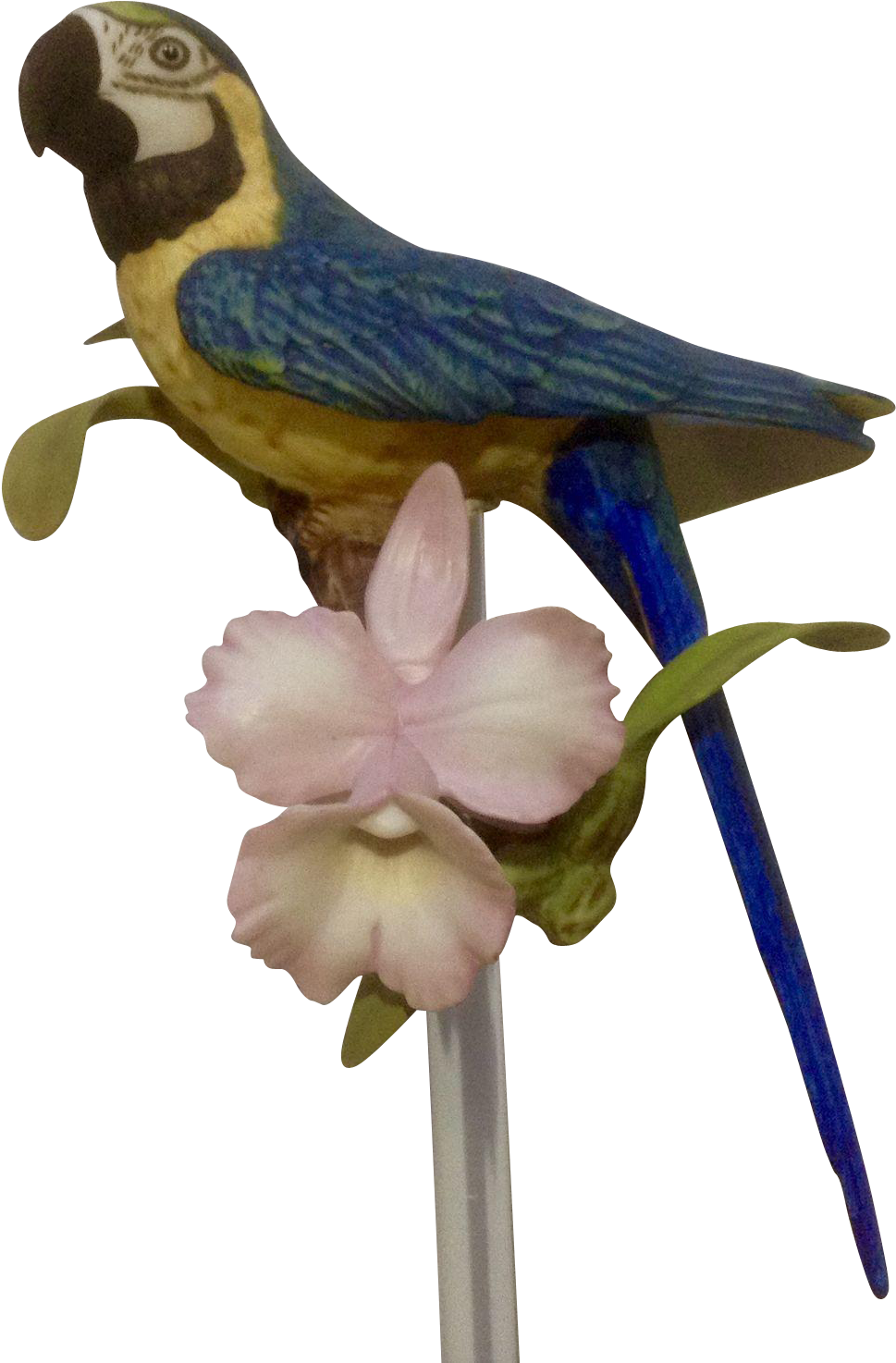 1987 Franklin Mint, Tropical Birds And Flowers Series, - Macaw Clipart (969x1474), Png Download