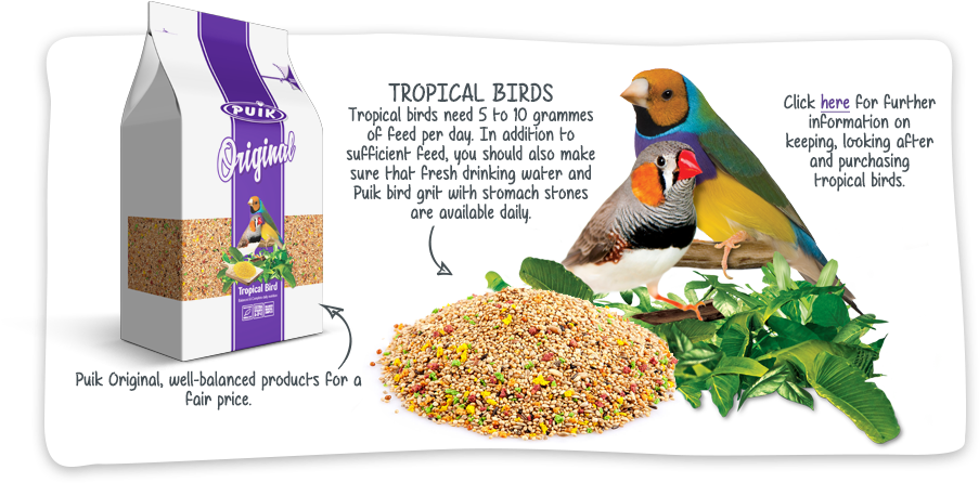 Previous - Next - Macaw Clipart (934x452), Png Download