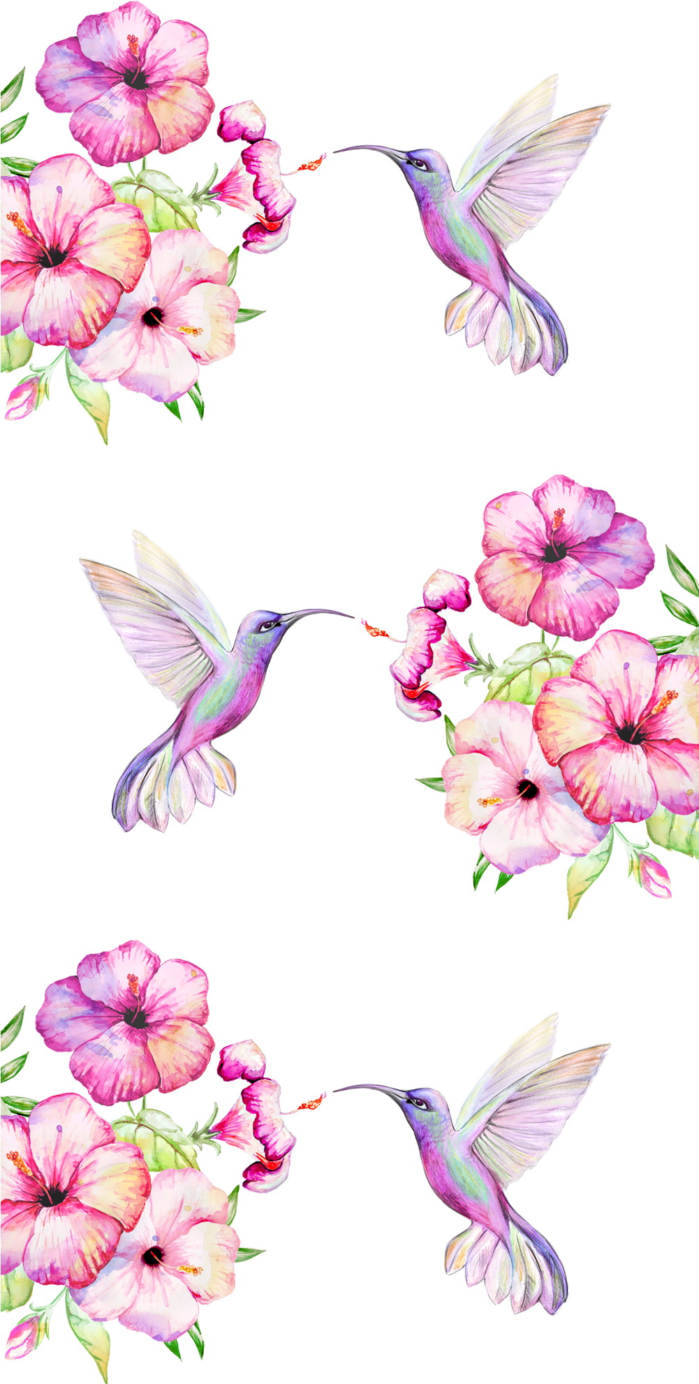 #tropical #birds And #flowers - Hummingbird Clipart (1000x2000), Png Download