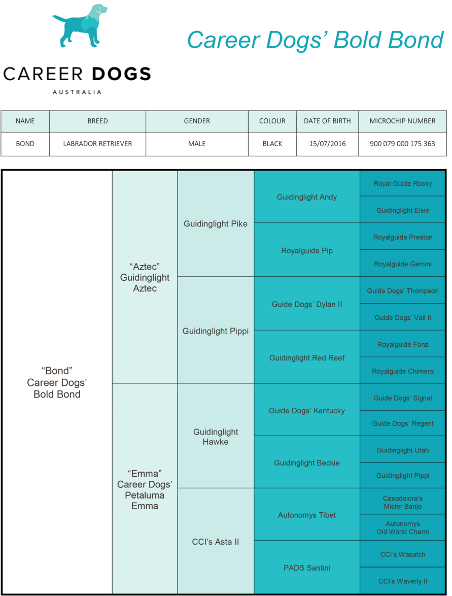 Bond Pedigree Career Dogs' Bold Bond Clipart (1000x1414), Png Download