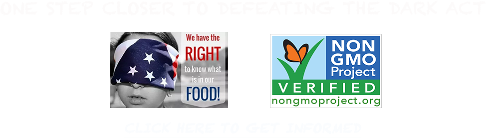 Flag Of The United States Clipart (1035x330), Png Download