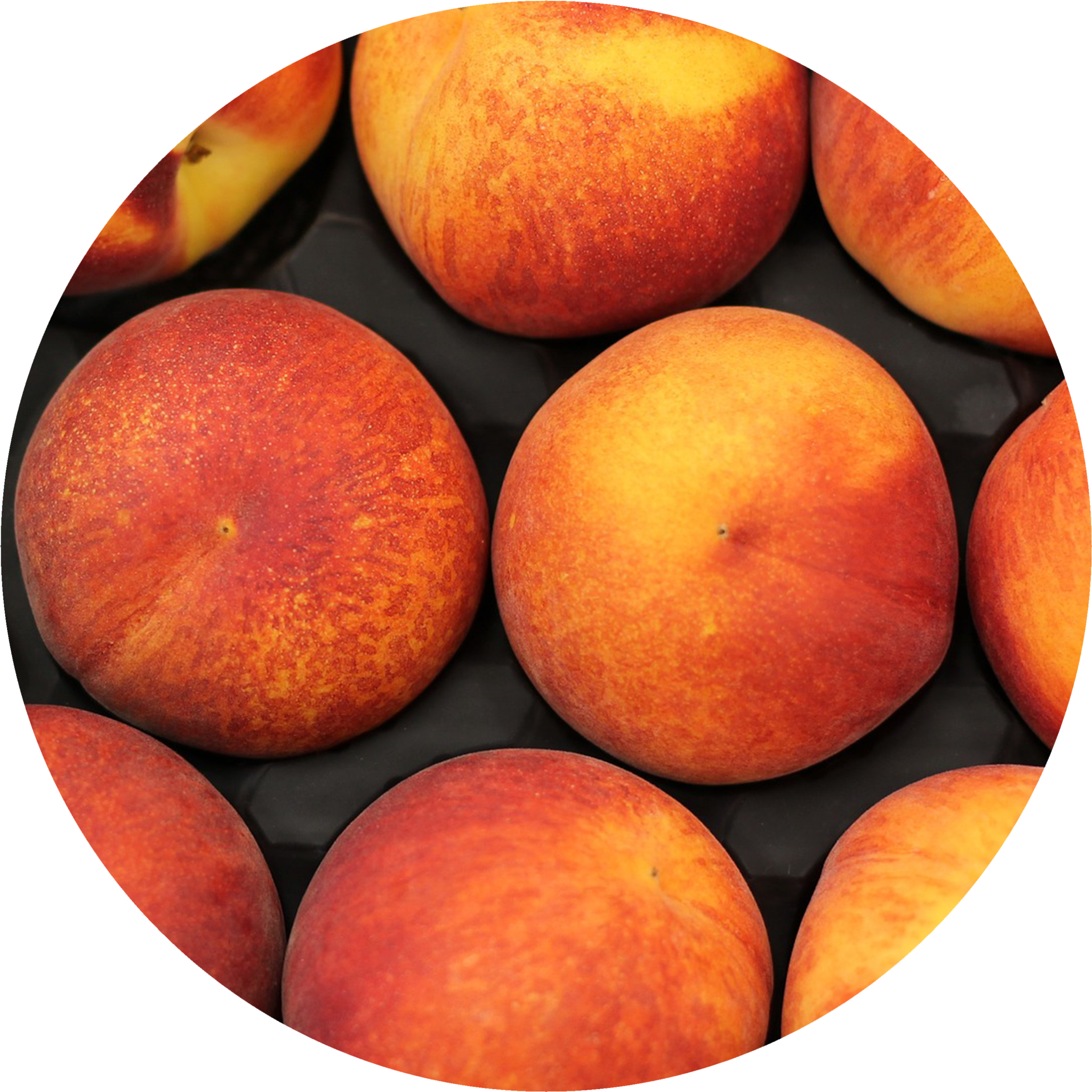 Purcell International Can Supply A Variety Of Shelf - Us Peaches Clipart (3136x3136), Png Download