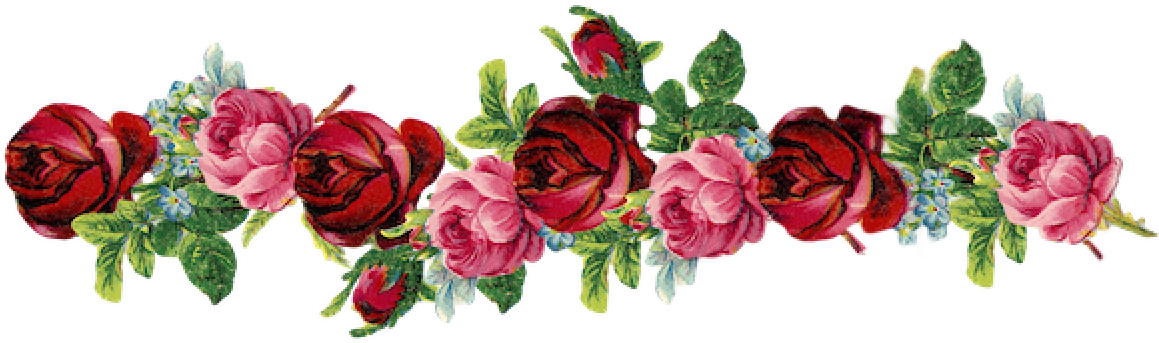 Rantings Of Mocha - Vintage Flower Borders Png Clipart (1180x360), Png Download