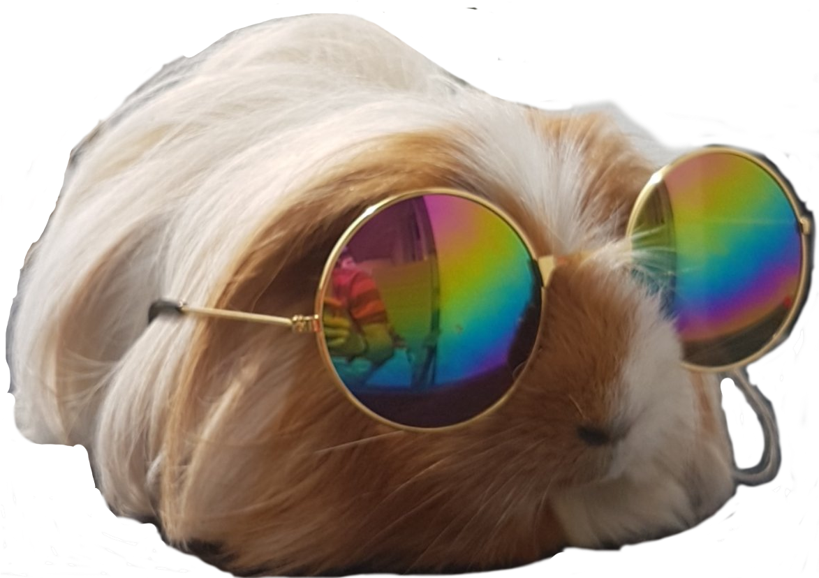 Minecraft Curseforge - Meditation Clipart (1172x1172), Png Download