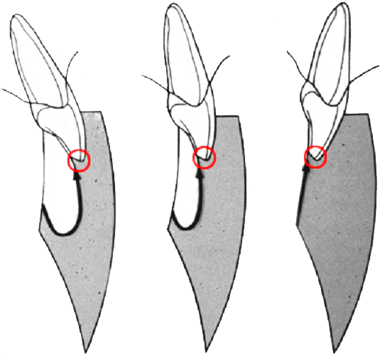 0 Replies 1 Retweet 0lajků - Bowie Knife Clipart (680x603), Png Download