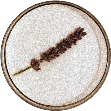 Edna Mode - Needlework Clipart (600x600), Png Download