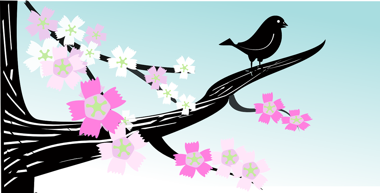 Bird Branch Flower Spring Tree Png Image - Spring Png Clipart (1280x652), Png Download