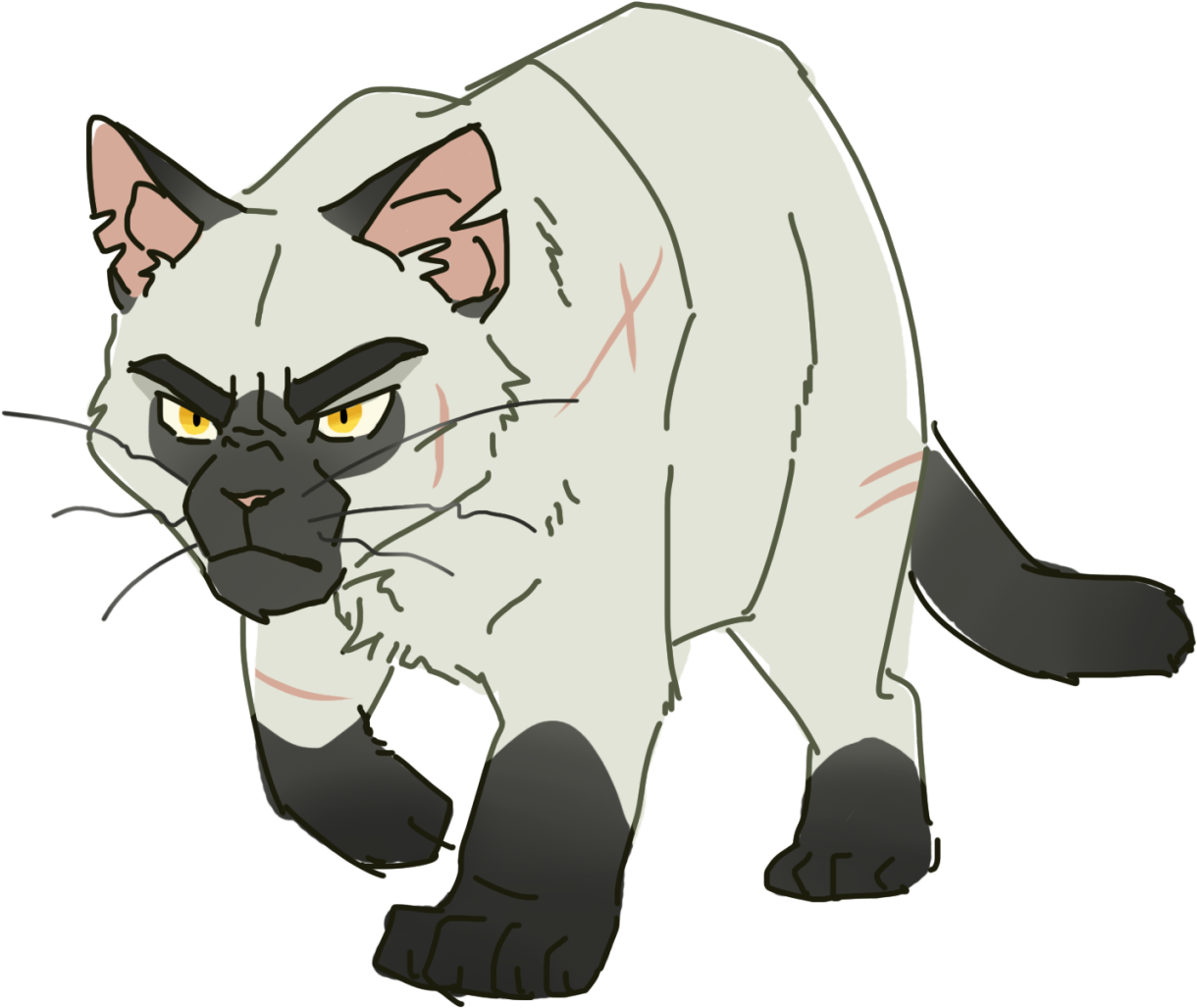 100 Warrior Cats Challenge - Warrior Cats Shadow Clan Clipart (1280x1104), Png Download
