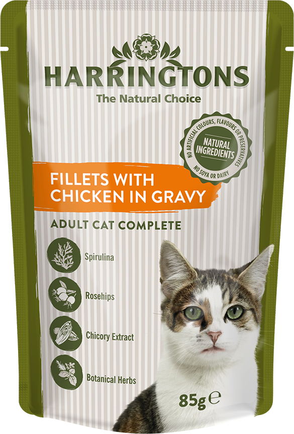 Wet Food - Wet Tray Dog Food Clipart (585x865), Png Download