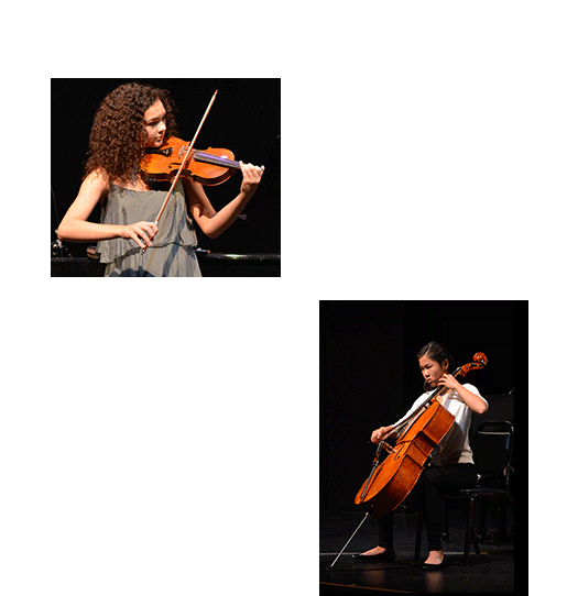 Violin Clipart (600x600), Png Download