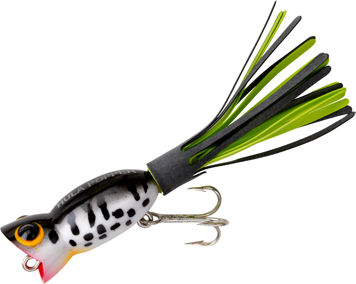 Coachdog - Giant Squid Clipart (1187x947), Png Download