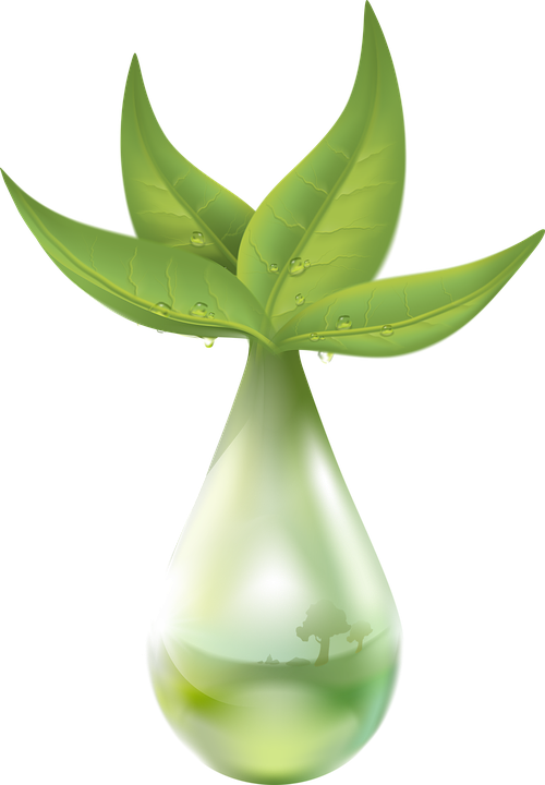 Extraction Plant Liquid Drop Of Water Leaf Green - Plant Extract Png Clipart (500x720), Png Download