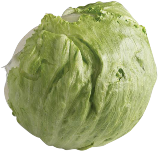 600 X 574 9 - Head Of Lettuce Png Clipart (600x574), Png Download