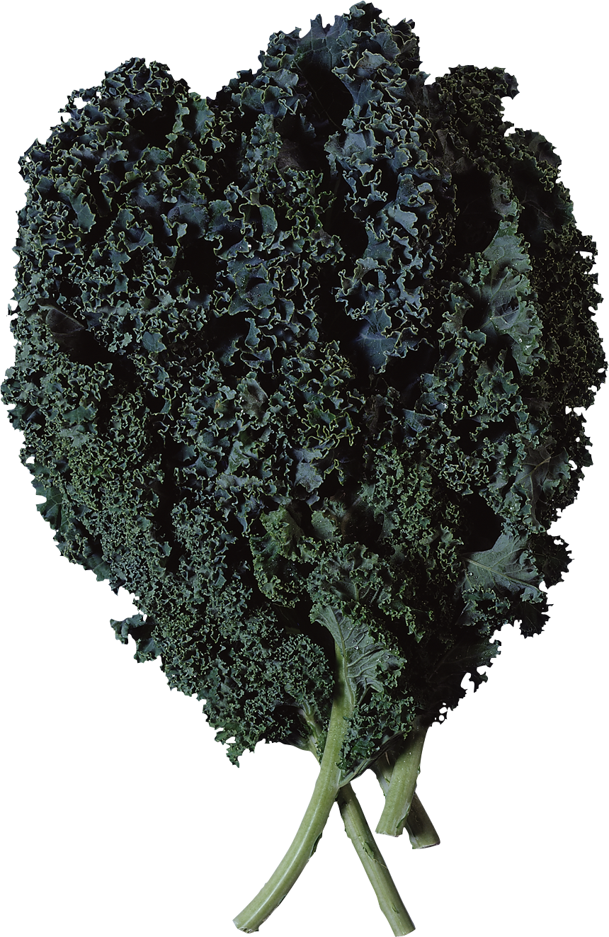 Salad Png Image - Curly Kale Clipart (860x1323), Png Download