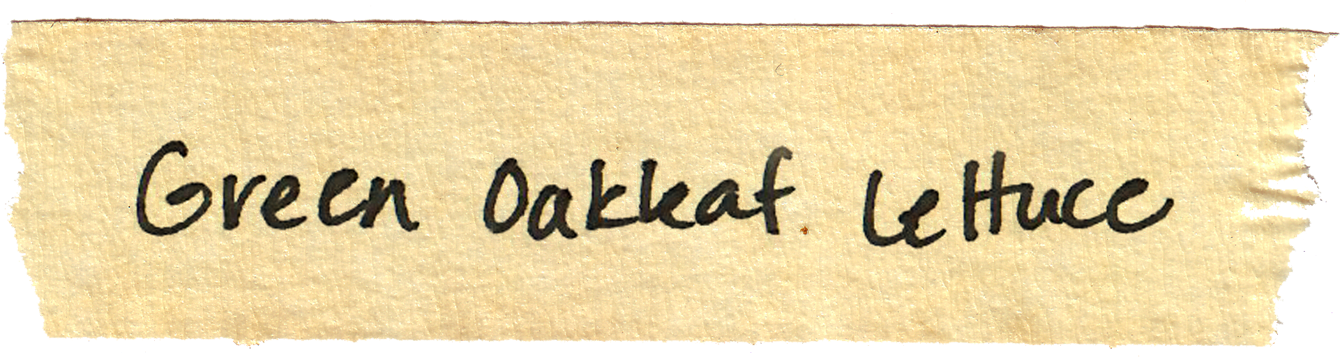 Calligraphy Clipart (1952x564), Png Download