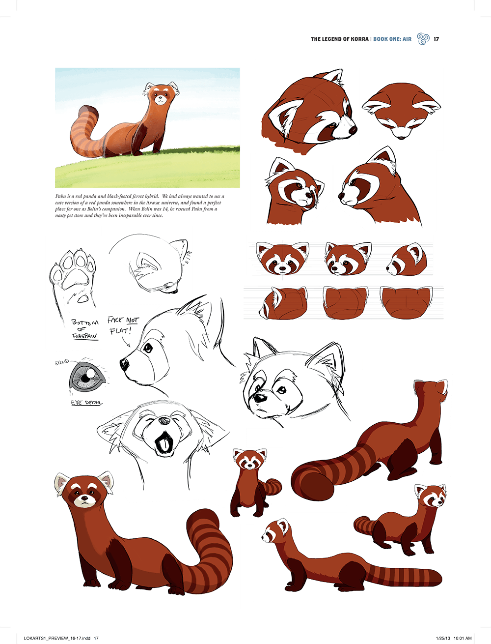 Original - Black Footed Red Panda Ferret Clipart (1000x1310), Png Download